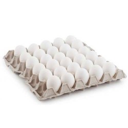 white eggs medium 30 pcs