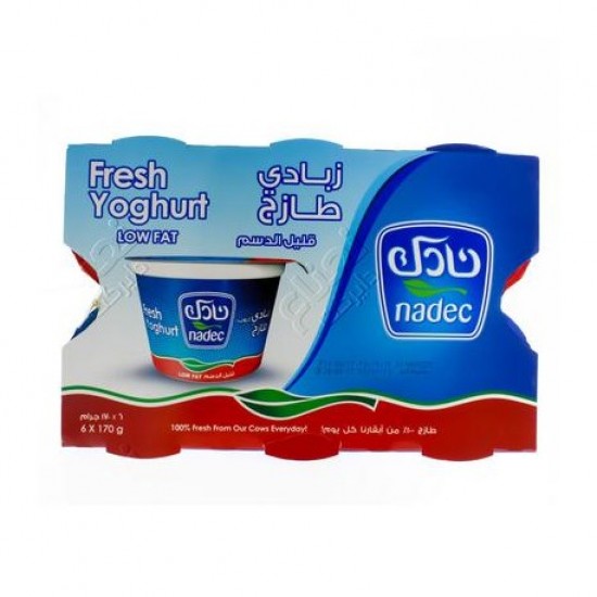 nadec fresh yoghurt low fat 6 × 170 g