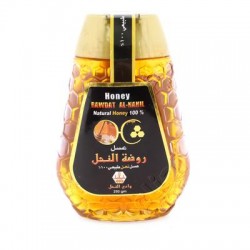 rawdat al-nahil natural honey 250 g
